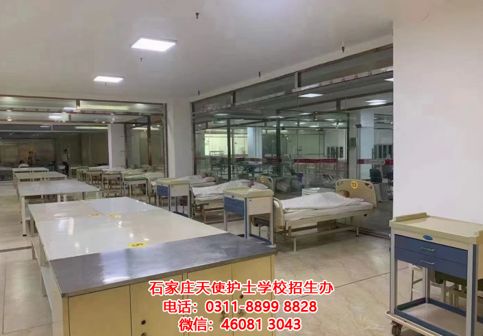 石家莊天使護士學校護理專業畢業后能上哪些大專專業？