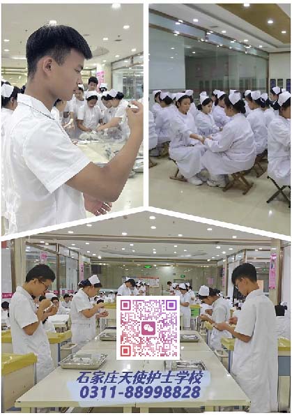 2026年春季石家莊天使護士學校招生報名要求、招生專業、學費